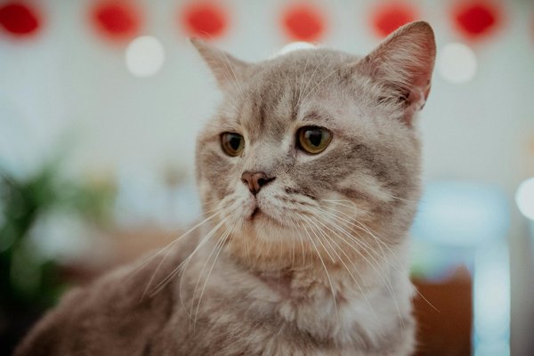 Harmonizing recovery: how personalized music therapy accelerates healing after major surgery